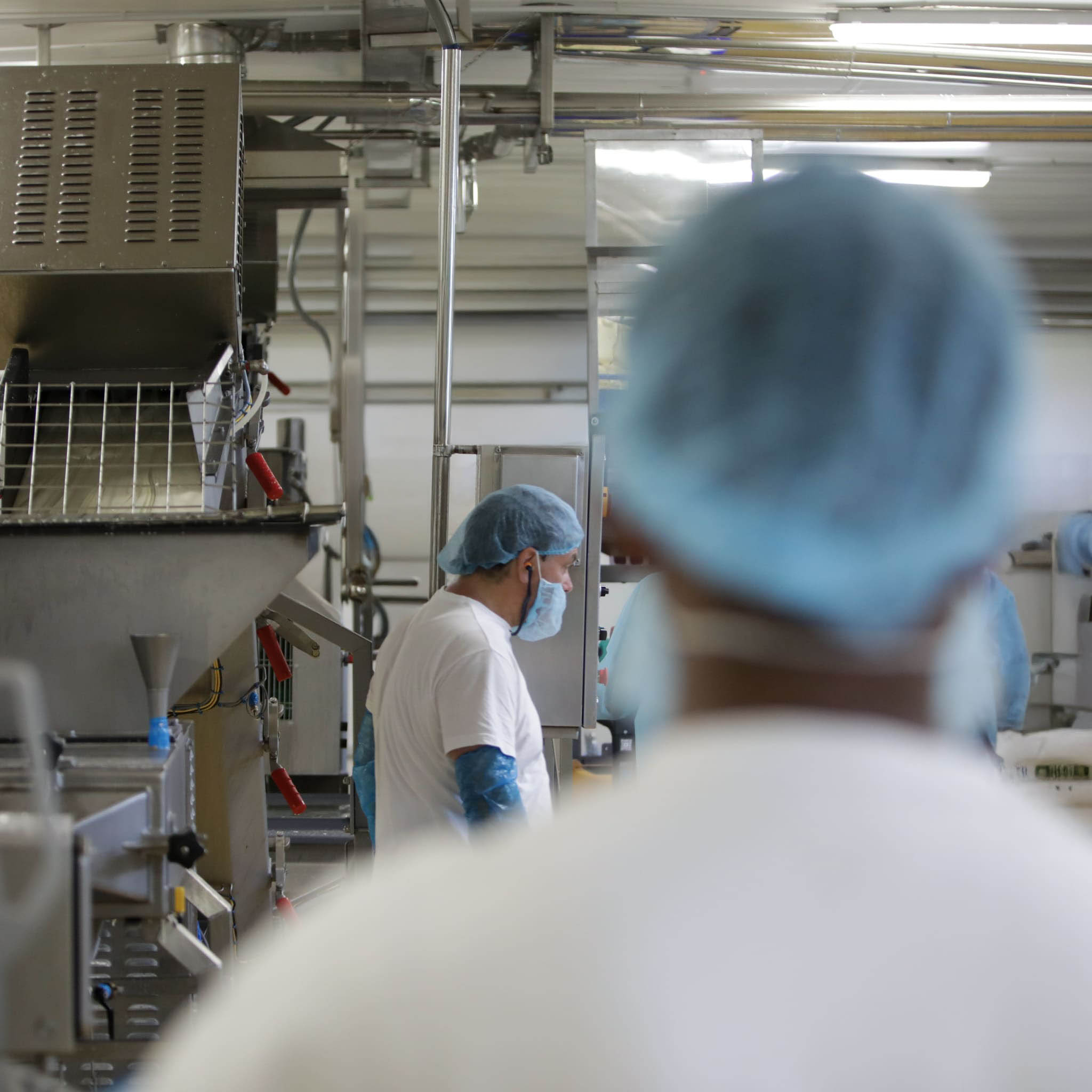 Tradizione Monti Verdi